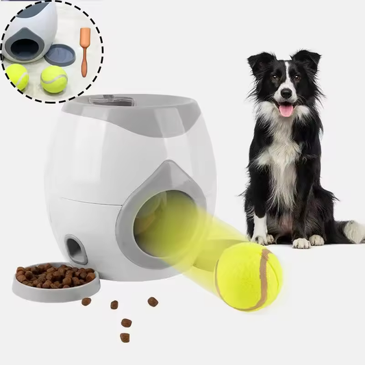 2-in-1 Pet Interactive Training Toy