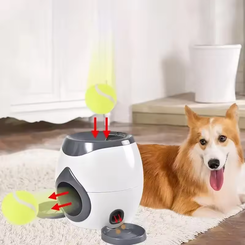 2-in-1 Pet Interactive Training Toy