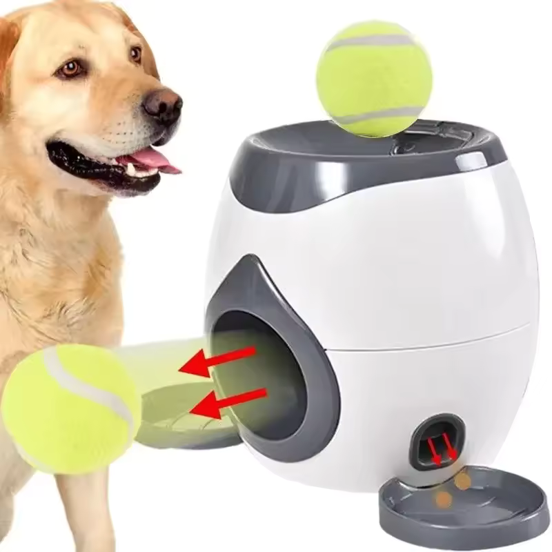 2-in-1 Pet Interactive Training Toy